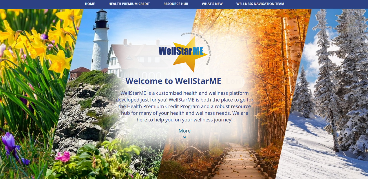 Screenshot of wellstarme login home page.