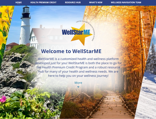 Screenshot of wellstarme login home page.